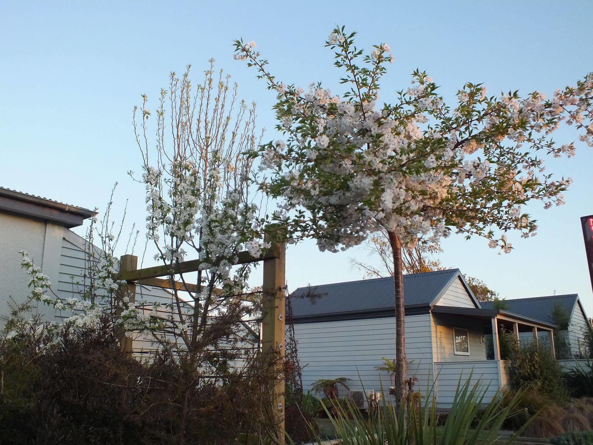 Cranford Cottages And Motel Christchurch Bagian luar foto